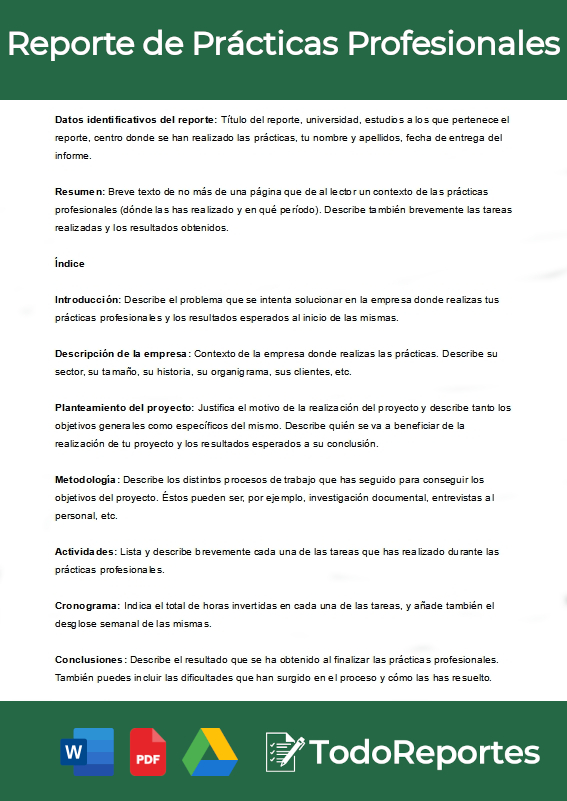 Reporte De Prácticas Profesionales Formato Cómo Hacerlo Y Ejemplos Todoreportes 8779